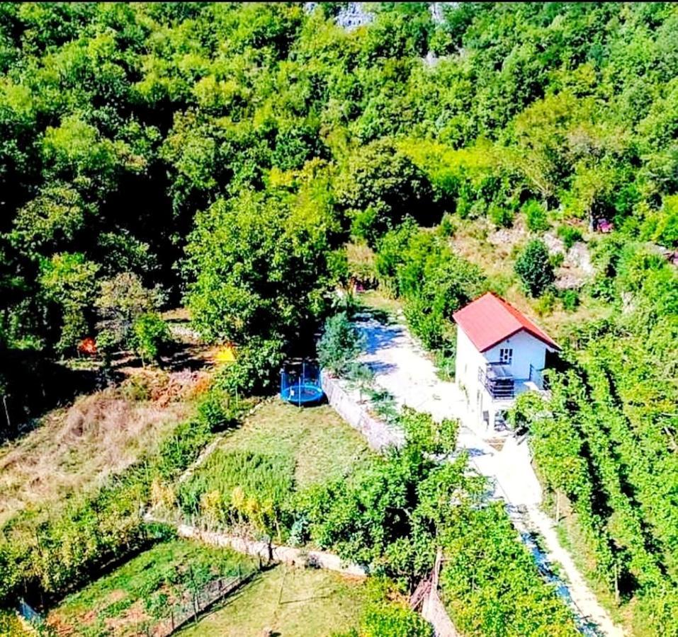 Apartments Stella Virpazar Εξωτερικό φωτογραφία