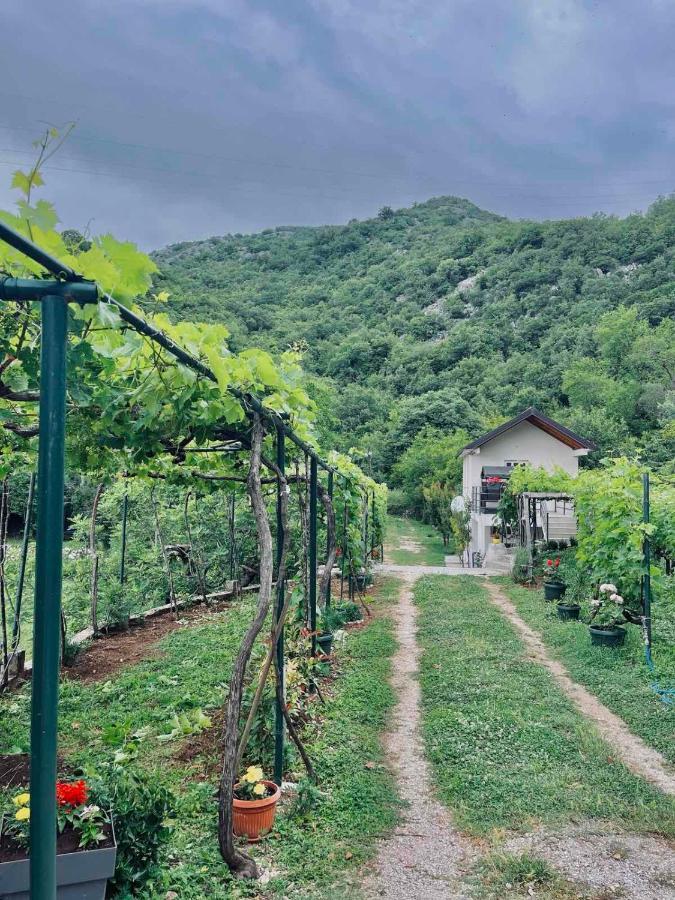 Apartments Stella Virpazar Εξωτερικό φωτογραφία